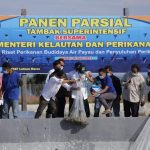 IMG-20210618-WA0040
