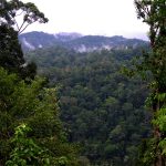 IMG-20251006-WA0031